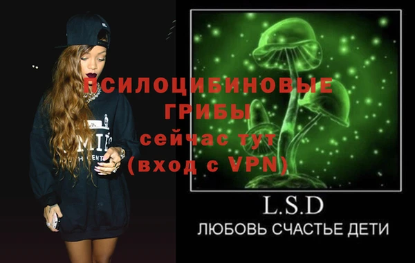 ПСИЛОЦИБИНОВЫЕ ГРИБЫ Елизово