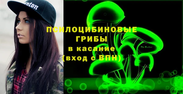 ПСИЛОЦИБИНОВЫЕ ГРИБЫ Елизово