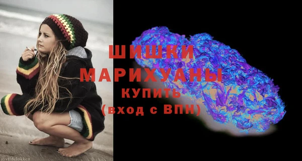 ПСИЛОЦИБИНОВЫЕ ГРИБЫ Елизово